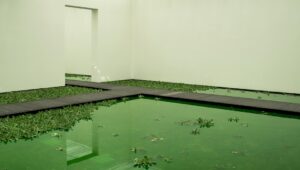Photo Art installation