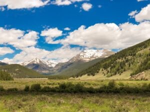 Photo Grant application form