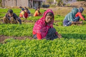 Photo Women farmers