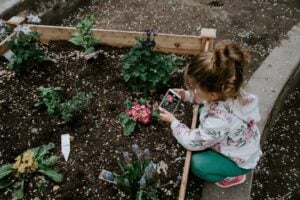 Photo School garden