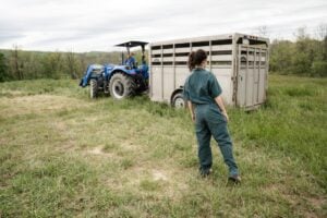 Photo Dairy Farming
