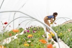 Photo Regenerative Farming