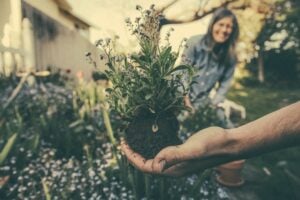 Photo Community garden