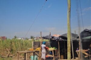 Photo A Grant Proposal on "Empowering Economies: A Holistic Intervention for Inclusive Economic Development in Rural Areas"