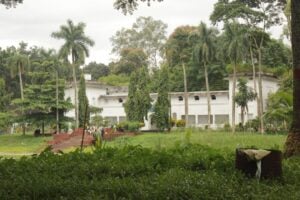 Photo Reintegration program