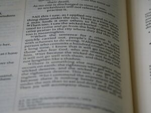 Photo Grant Proposal