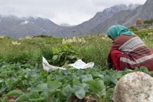 Photo Women farmers