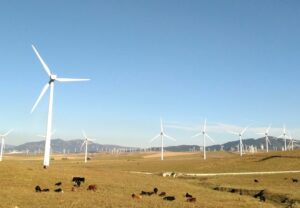 Photo Renewable Energy Training for Youth