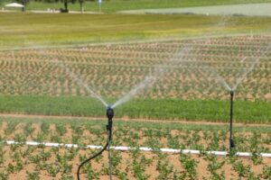 Photo Smart Irrigation Systems
