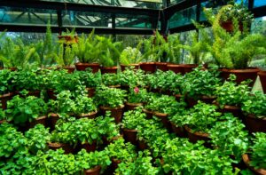Photo Green Jobs Incubation