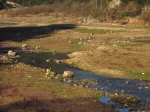 Photo Citizen Science for Environmental Monitoring