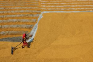 Photo Data-Driven Solutions for Food Security