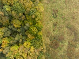 Photo Biodiversity Protection Through Drone Mapping