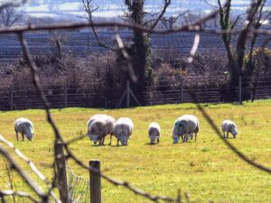 Photo Climate-Smart Agriculture