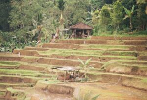 Photo Microfinance