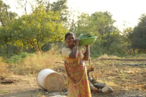 Photo Empowering Women Farmers with Solar Energy Solutions
