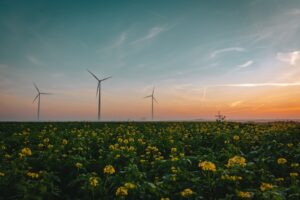 Photo Clean Energy