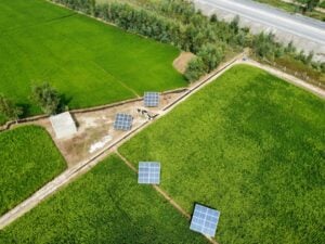 Photo Solar Energy for Sustainable Food Processing & Cold Storage
