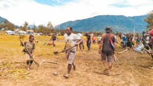 Photo Renewable Power for Rural Papua New Guinea