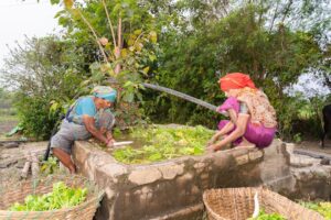 Photo Clean Power for Small-Scale Farmers