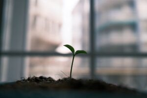 Photo Small Business Resilience