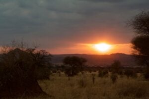 Photo Africa Solar Leap