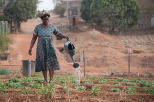 Photo Empowering Women Farmers Uganda