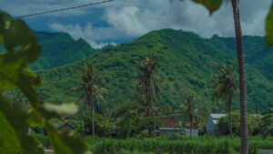 Photo Empowering Farmers through Clean Energy Access in Samoa