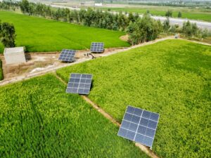 Photo Sustainable Solar Solutions