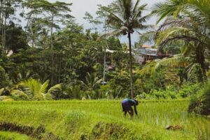 Photo Renewable Energy for Health and Nutrition in Sierra Leone