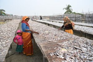 Photo Empowering Women in Fisheries