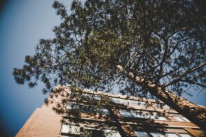 Photo Community Energy Resilience through Solar Mini-Grids