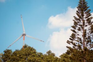 Photo Renewable Energy Samoa