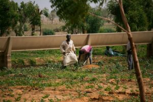 Photo Renewable Power for Food Security in Cameroon