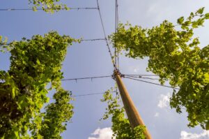 Photo Green Enterprise Network