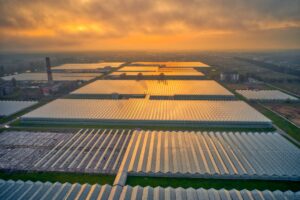 Photo Solarizing Agricultural Value Chains