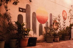 Photo Solar-Powered Community Health Centers