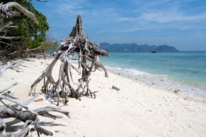 Photo Clean Power for Sustainable Tourism Enterprises