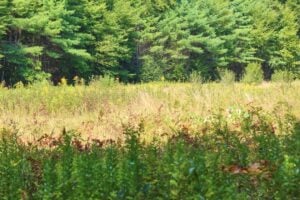 Photo Community-Led Environmental Conservation and Restoration