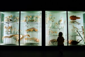 Photo Cultural Heritage