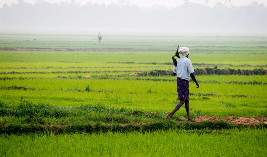 Photo Himalayan Agriculture Adaptation to Climate Change