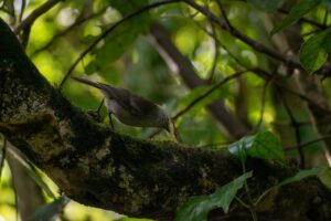 Photo Wildlife sanctuary