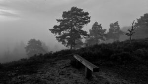 Photo Common mistakes: Lack of clarity